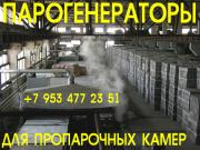 Парогенераторы для пропарочных камер - Парогенераторы для пропарочных камер